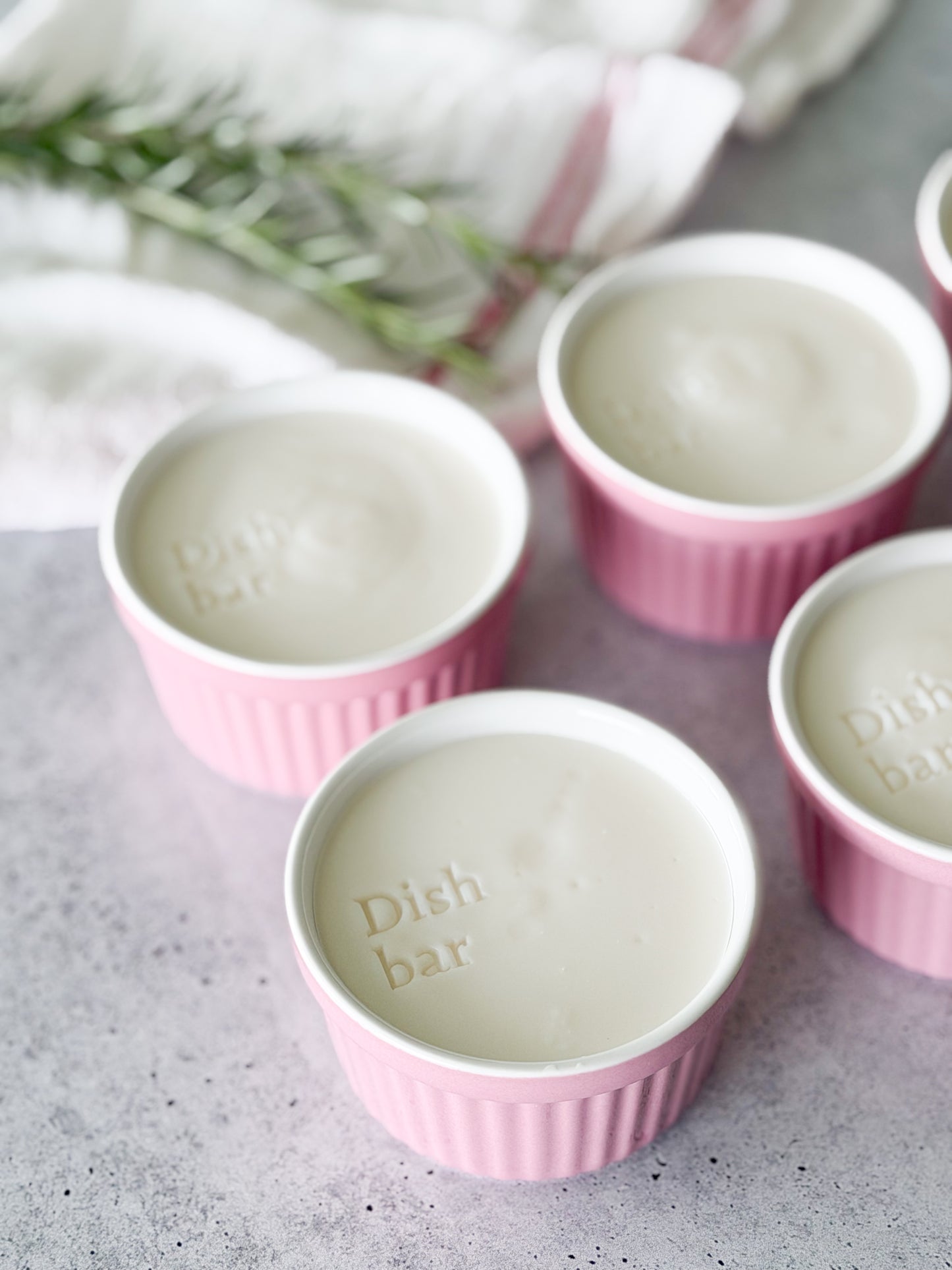 Non-toxic Solid Dish Soap in a Pink Ramekin Bowl