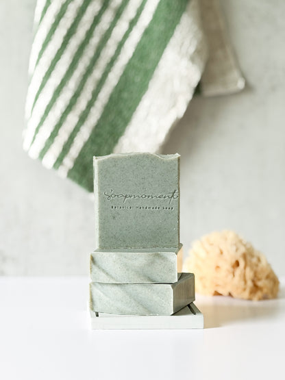 Tea tree